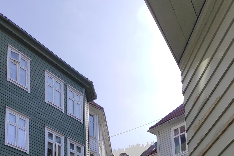 Bergen: Hoogtepunten van de stad Groep Wandeltour