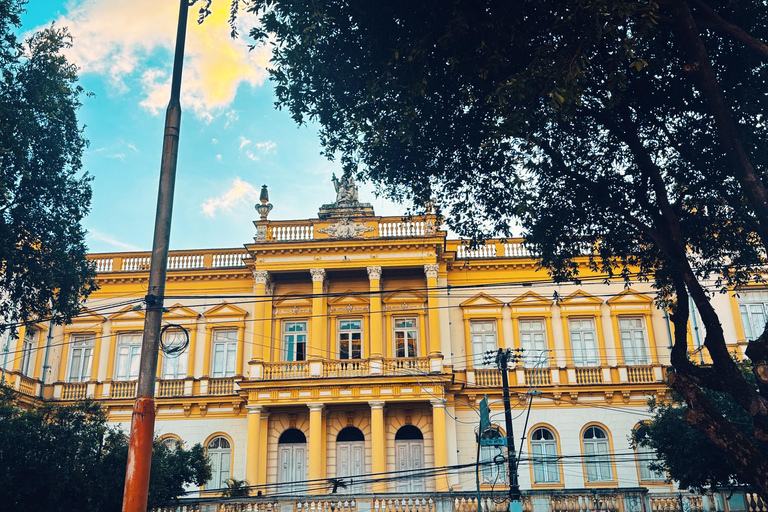 Manaus: Indigenous Culture and History Guided Tour