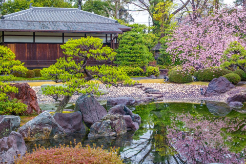 Kyoto/Osaka: Nijo Castle, Arashiyama, Kinkakuji Day Tour Kyoto Full Day Tour | Depart from Kyoto 9:00 AM