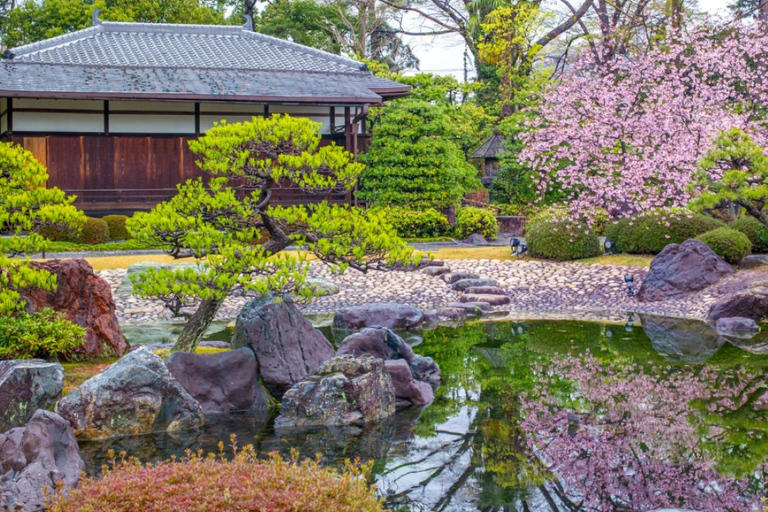 Kyoto/Osaka: Nijo Castle, Arashiyama, Kinkakuji Day Tour Kyoto Full Day Tour | Depart from Kyoto 9:00 AM