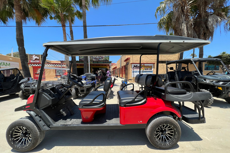 Ensenada: rental, atv, side by sides, dirt bikes and more.