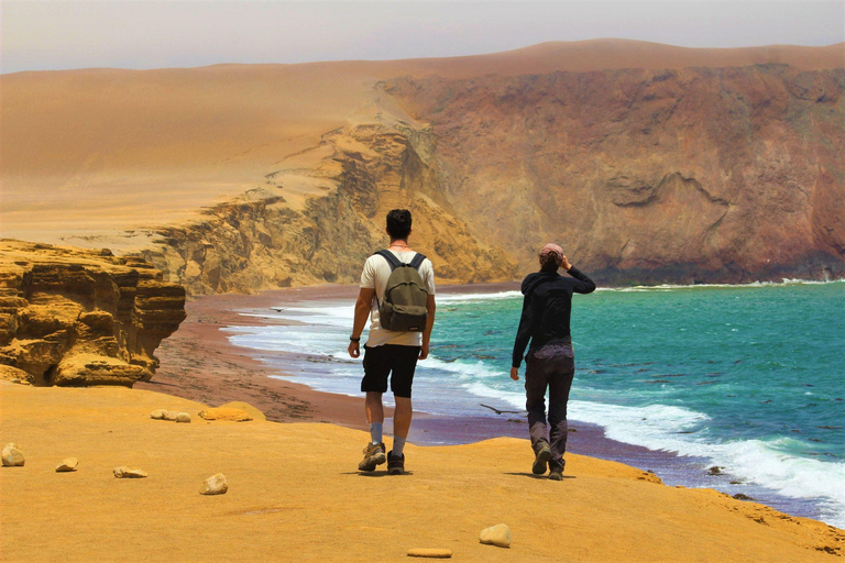 Da Lima: Tour di un giorno a Paracas, Ica e Huacachina