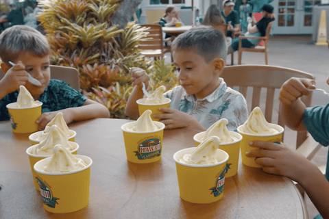 Oahu: Grand Circle Island Tour with Haleiwa