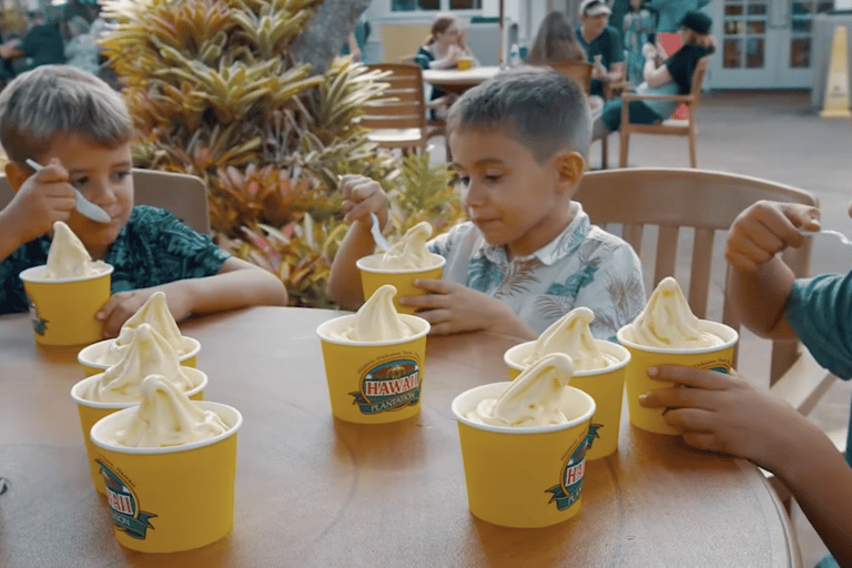 Oahu: Grand Circle Island Tour with Haleiwa