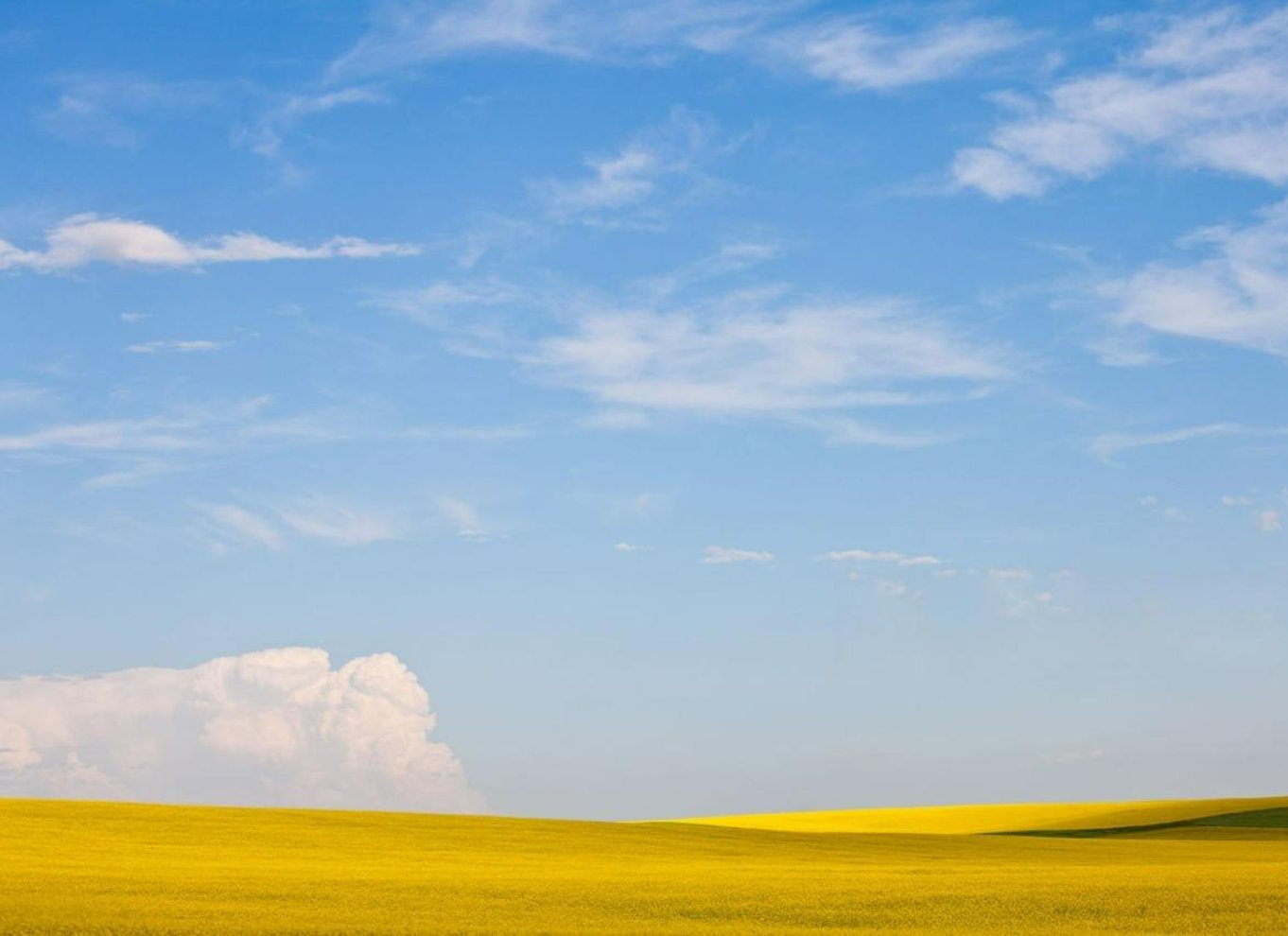 Badlands-tur: Drumheller med museum, hoodoos og dinosaurer