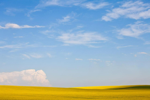 Badlands Tour: Drumheller with Museum, Hoodoos & Dinosaurs Booking Option for Summer 2026