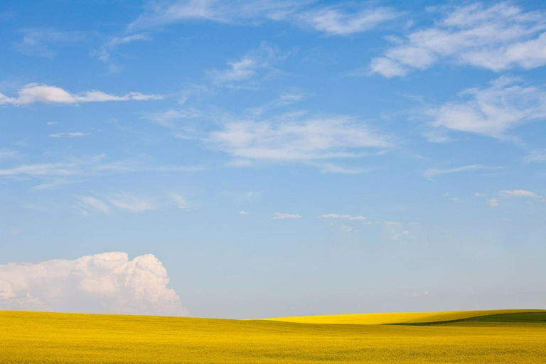 Badlands Tour: Drumheller with Museum, Hoodoos & Dinosaurs Booking Option for Summer 2026