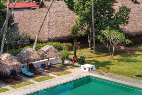 Z Kochi: 2-dniowa wycieczka na plażę Mararikulam