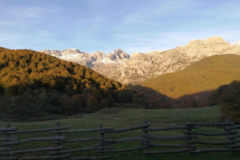 Cangas de Onís: Route in het bos van Vegabaño met lunch in een berghut