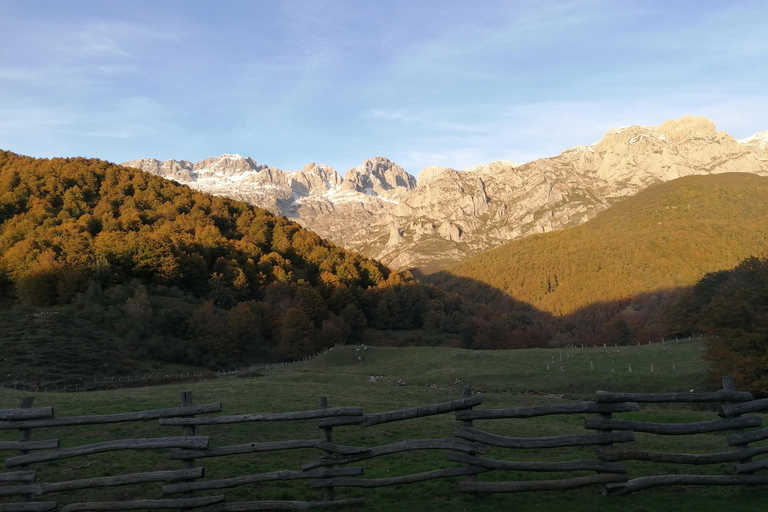 Cangas de Onís: Route in het bos van Vegabaño met lunch in een berghut