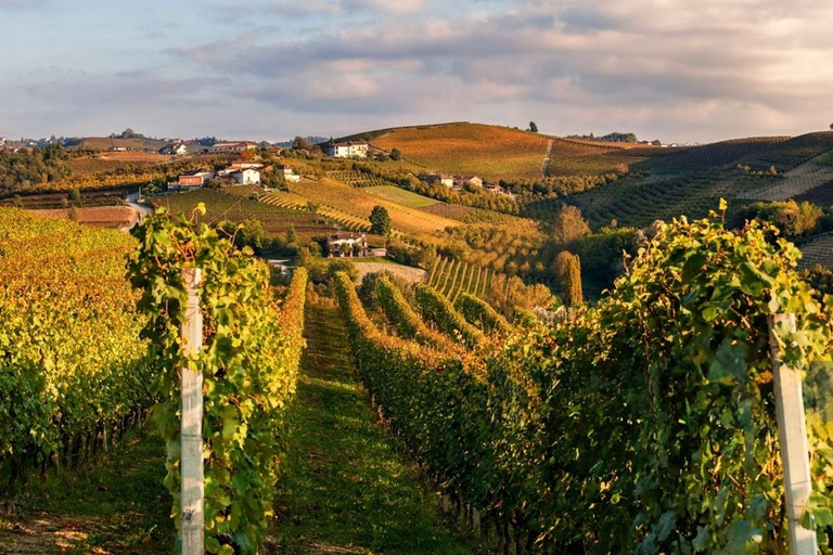 Milan: Barolo Vineyards & UNESCO Wine Cathedral Experience