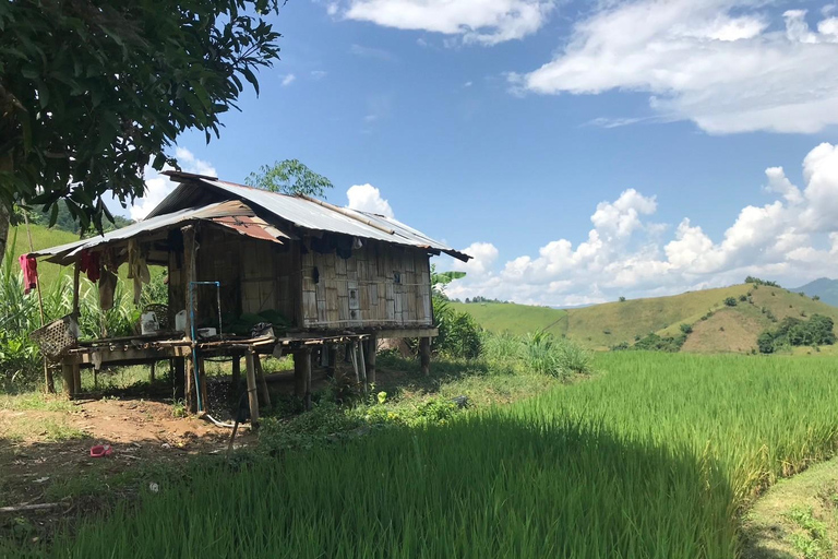 Chiang Rai Trek: 4 Hilltribes Villages & Waterfall Only Walk