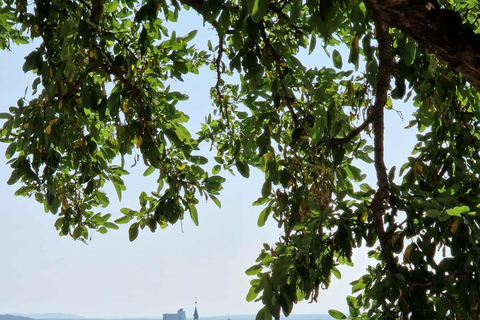 纽伦堡：招牌美食之旅（含高端品尝）特色美食之旅（小团）