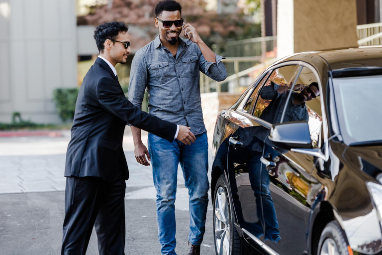 Orlando: MCO Private Transfer Airport to Hotel Orlando: Airport Private Minivan to Orlando Hotels