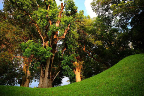 From Batumi: Georgian Amazon & Kolkheti Park Tour