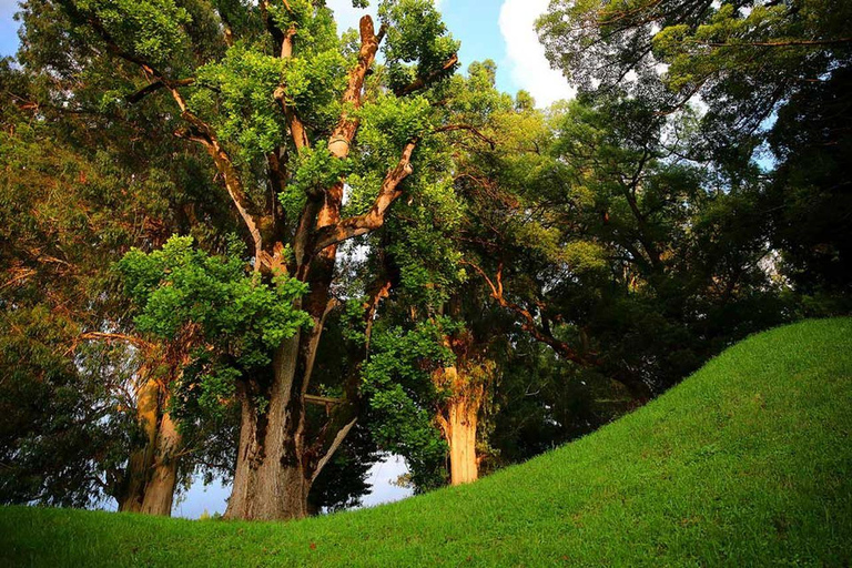 From Batumi: Georgian Amazon & Kolkheti Park Tour