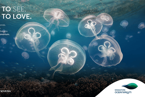 Singapur: Bilet wstępu do Oceanarium w SingapurzeBilet wstępu poza godzinami szczytu