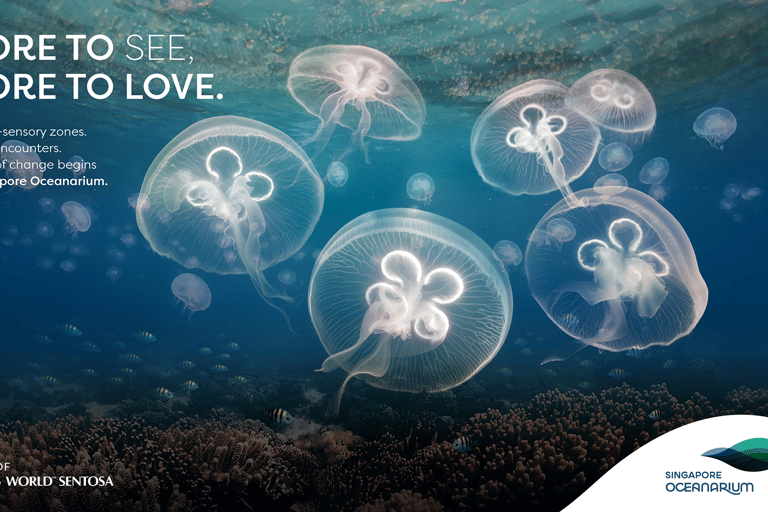 Singapur: Bilet wstępu do Oceanarium w SingapurzeBilet wstępu poza godzinami szczytu