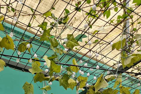 Atenas: visita a um café com gatos, com bebida e doceAtenas: Visita ao Cat Cafe com Drink and Sweet