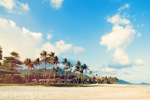 Los Angeles: City & Beach Tour