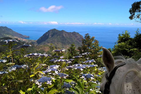 Madeira Horse Riding: Laurel Forest Trail