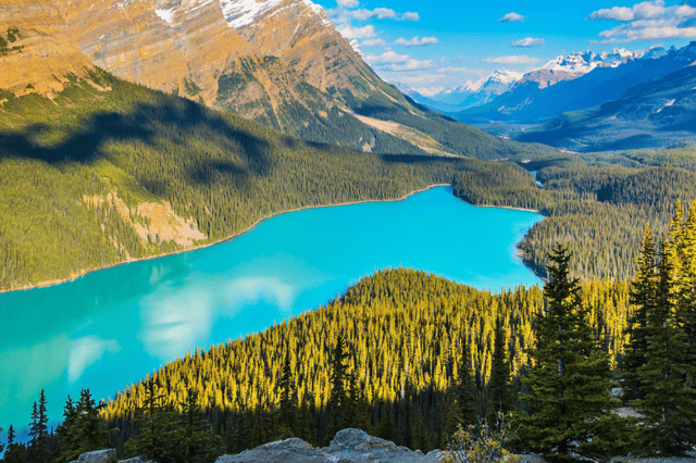 Icefields Parkway: Self-Guided Majestic Peaks Drive Tour