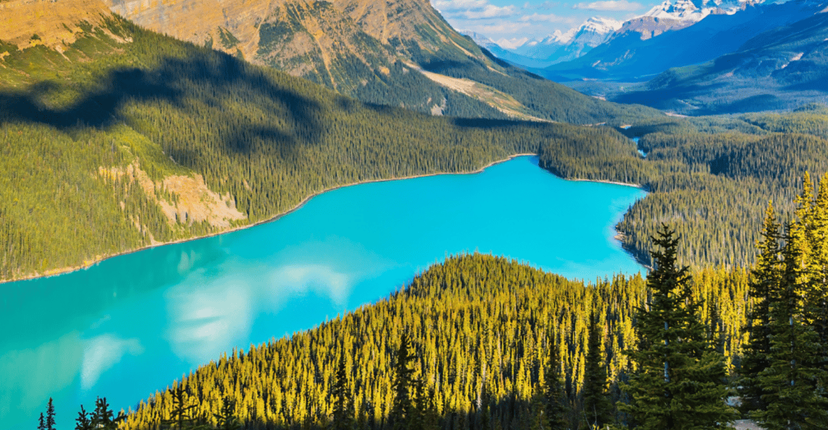 Icefields Parkway: Driving Tour 