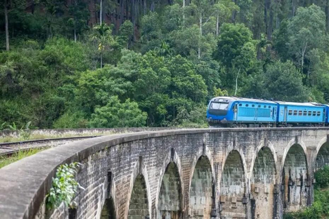 Sri Lanka: Królestwa, stacje górskie, plaże i dzika przyroda