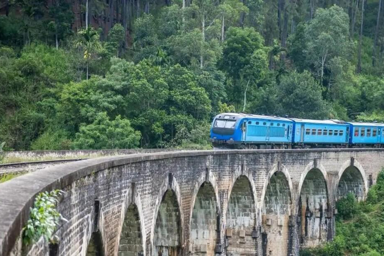 Sri Lanka: Królestwa, stacje górskie, plaże i dzika przyroda