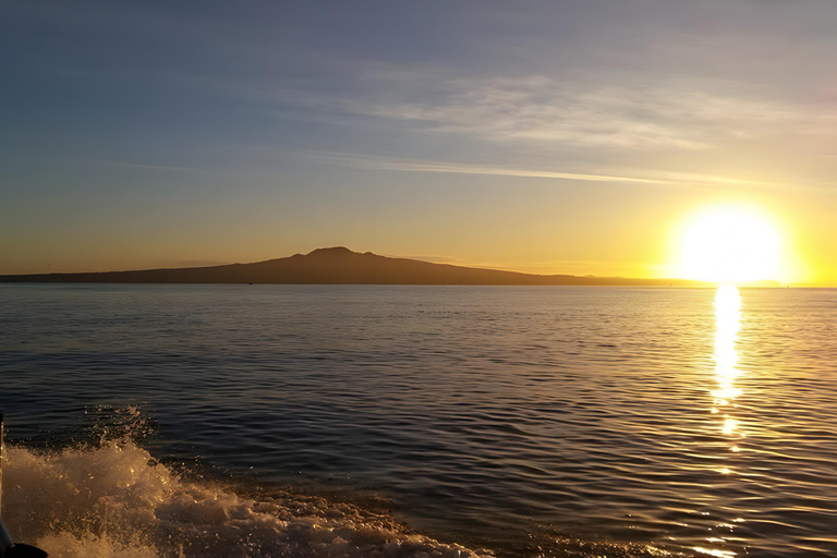 Havencruise bij zonsondergang in AucklandRondvaart tijdens zonsondergang met drankje en kaasdoos-upgrade