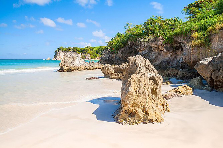 Punta Cana: Półdniowe safari ciężarówką z lunchem w formie bufetu