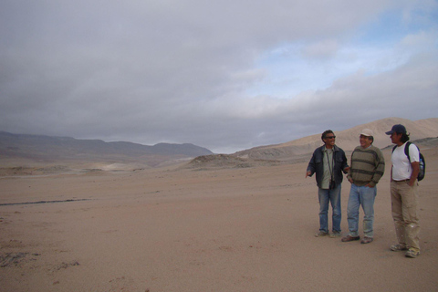 Depuis Lima : Excursion d&#039;une journée aux lignes de Nazca et à l&#039;oasis de Huacachina