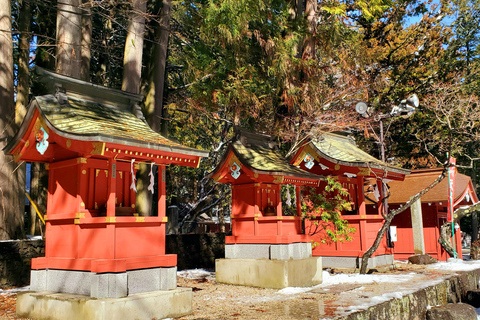 Mount Fuji & Hakone Full-Day Private Tour (Customizable) Hakone & Mount Fuji Tour w/English speaking guide