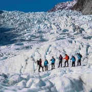 Fox Glacier: Up to 3-Hour Hike with Helicopter Transfer