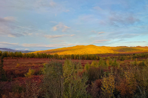 Visite d&#039;une jounée du cercle arctique