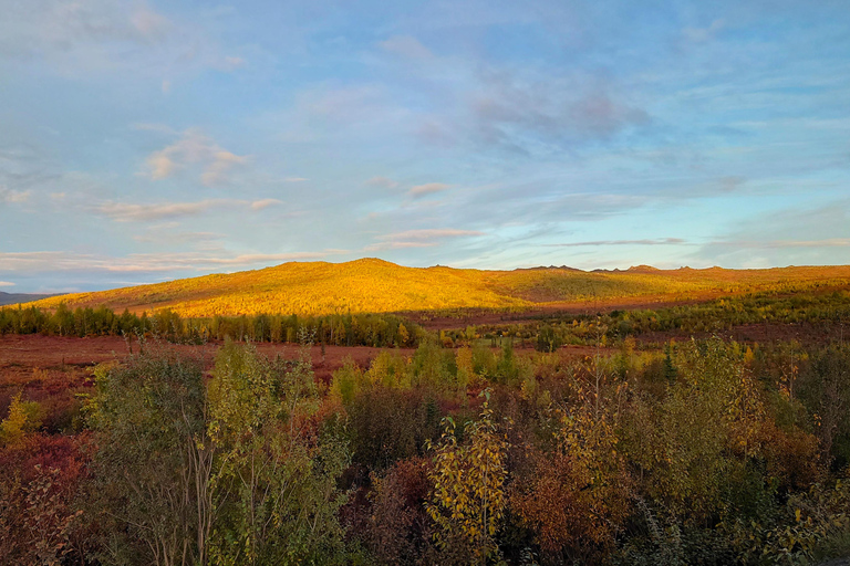 Visite d&#039;une jounée du cercle arctique