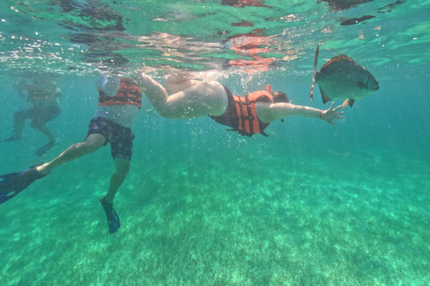 From Cancún: Maroma Beach Snorkel and Waverunner Tour