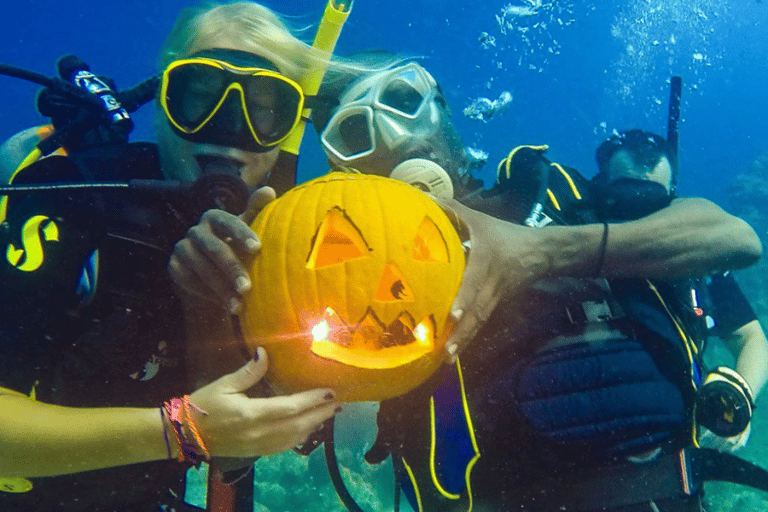 Punta Cana Catalina Island Scuba Diving & Beach Escape