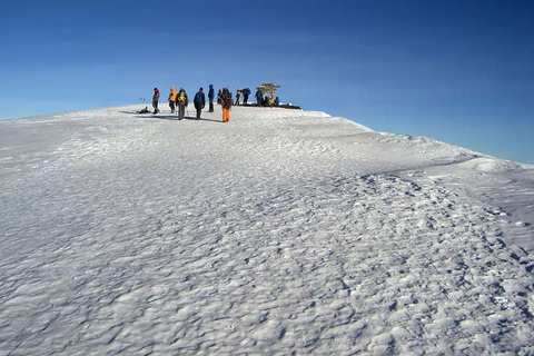 Kilimangiaro: percorso Lemosho di 7 giorni