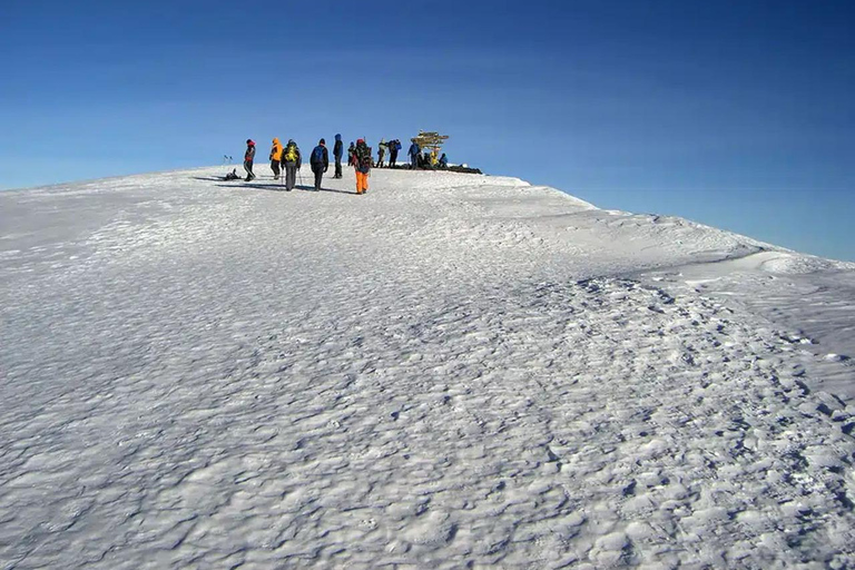 Kilimanjaro: Lemosho Route 7-Day Trek