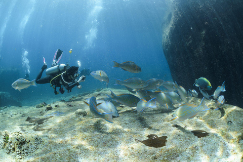 From Khao Lak: Similan Islands Diving Trip