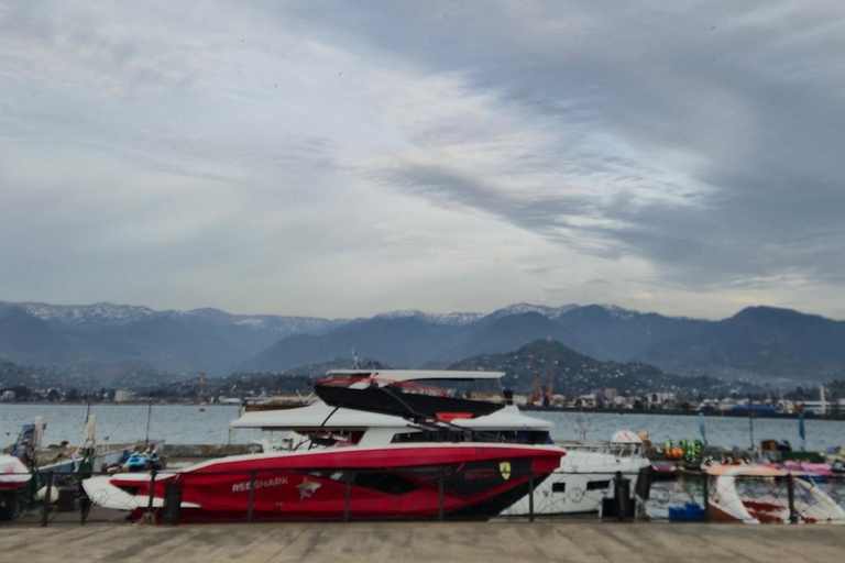 Batumi: from Nobel To modern city : walking and talking tour