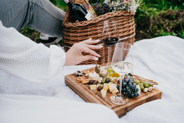 Krakow: Vineyard Tour with Wine Tasting & Dinner Extended Tasting