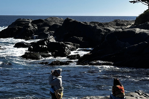 Exclusive Zapallar Walk, Luxury Mansions & Cachagua Wildlife