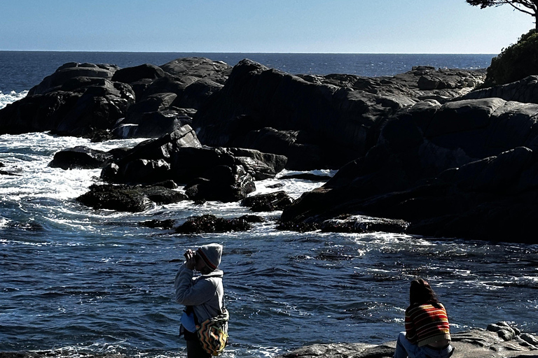 Exclusive Zapallar Walk, Luxury Mansions & Cachagua Wildlife