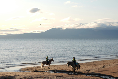 Dragør: Søvang Open Landscape & Coastal Horseback Experience