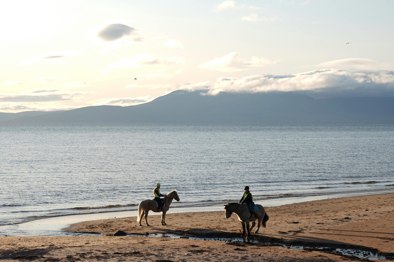 Dragør: Søvang Open Landscape & Coastal Horseback Experience