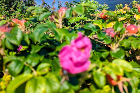 Grouse Mnt+StanleyPark+Hatchery+Cleveland Dam+LynnCanyonTOUR Shared Tour