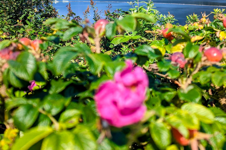 Grouse Mnt+StanleyPark+Hatchery+Cleveland Dam+LynnCanyonTOUR Shared Tour