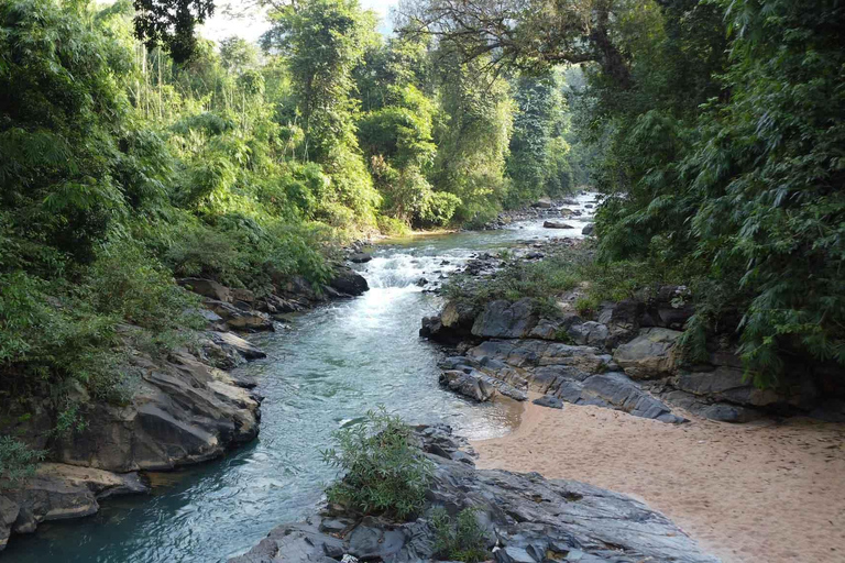 From HCMC: 3-Day Madagui Forest Tour with Da Huoai Stream